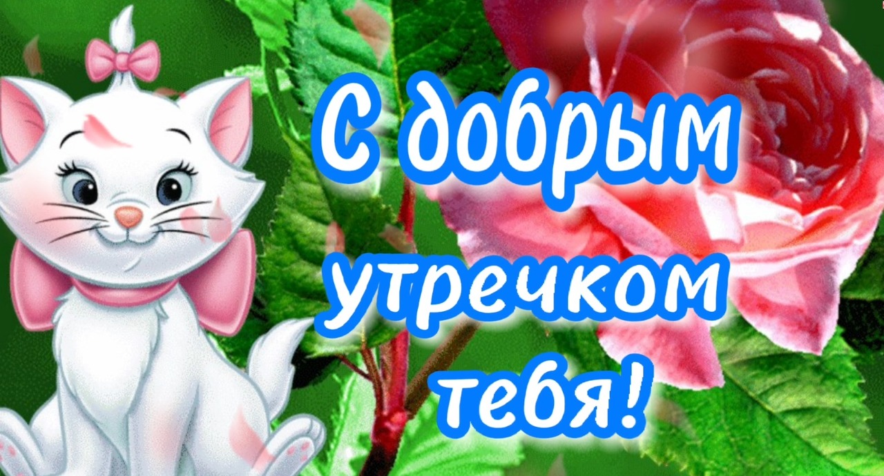 С Добрым Утречком Среда!_ Прекрасного настроения на Весь день !_ Музыкальная открытка.. Позитив
