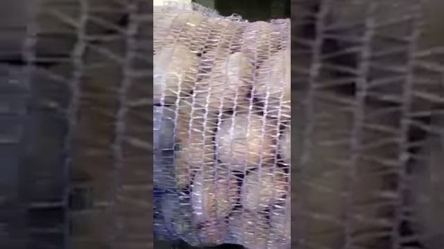 Картофель Брянск оптом смотреть онлайн