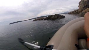 База отдыха "Берег мечты" (посёлок Волчанец) недалеко от города Находка Приморского края.