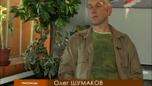 Интересные факты о Крокодилах, видео