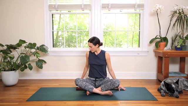 Yoga for Neck and Shoulder Relief   Yoga With Adriene