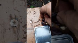 Японские сорта винограда.