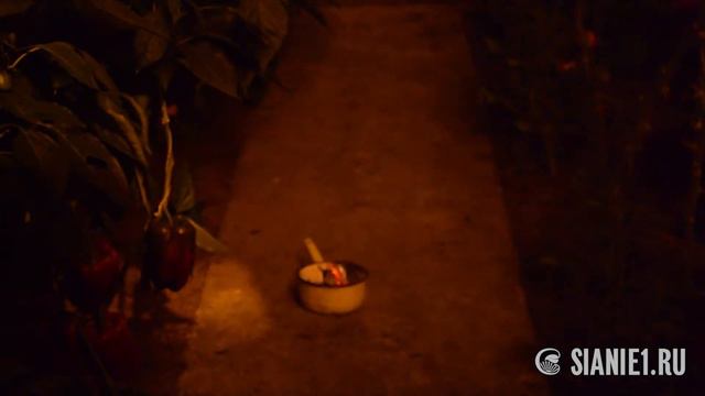 Углеродная таблетка - повышаем урожайность овощей в теплице смотреть онлайн