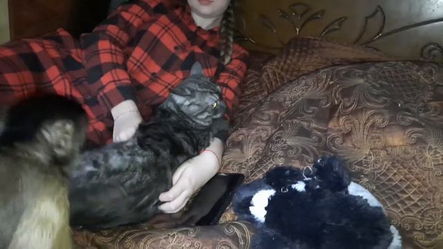 Как маленькие обезьянки относятся к людям из ее близкого окружения. Сложности в поведении.