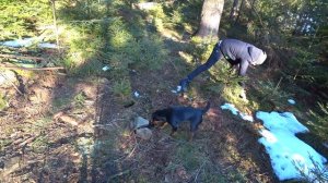 24 ЧАСА В ГОРАХ КАРПАТАХ! КУПИЛ УЧАСТОК В КАРПАТАХ! ЖАРЮ КОЛБАСКИ И СТЕЙКИ