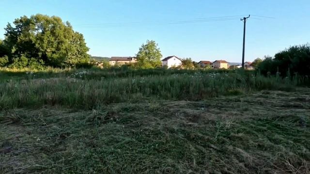 Košenje Visoke Trave Trimerom  Poslije Dosadnih Kiša  Nož Za Trimer