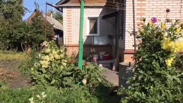 Простой рецепт вкусного шашлыка