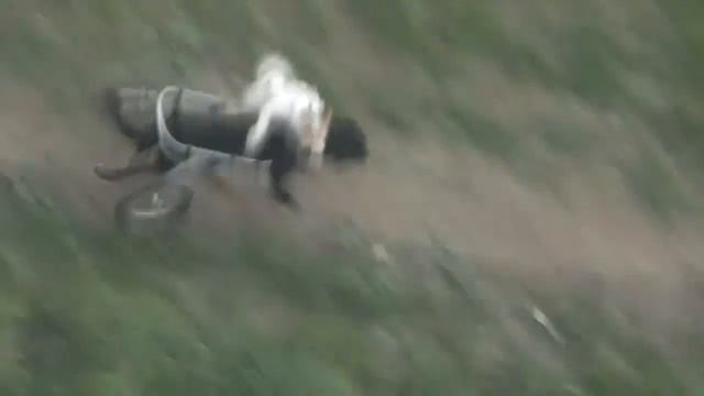 Битый небитого везет смотреть онлайн