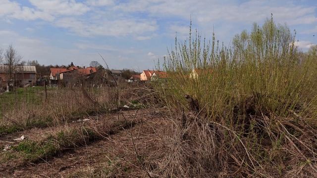 Погода ульяново на 14 дней. Поселок Ульяново Неманский район. В поселке Ульяново была гастролика.