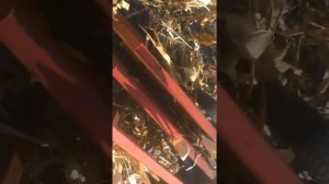 самодельный комбайн для уборки кукурузы 1