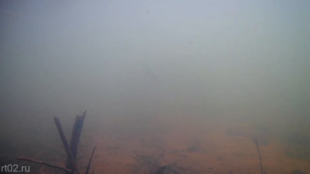 Китайская копия воблера Rapala Husky Jerk с Aliexpress (подводная съемка) смотреть онлайн