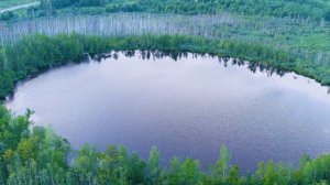 Бездонное Лесное Озеро, Солнечногорск. Съемка с квадрокоптера.