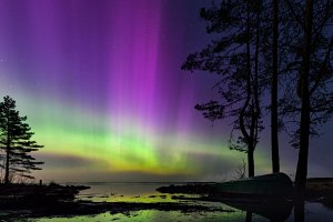 Северное сияние на Оршинских болотах 23 апреля 2023 года (4K)