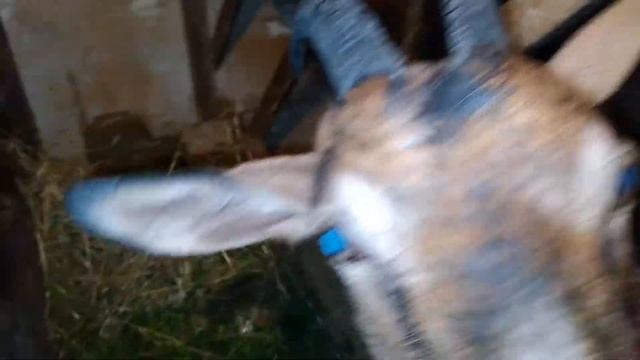 Самодельная подставка для спиралей от комаров смотреть онлайн