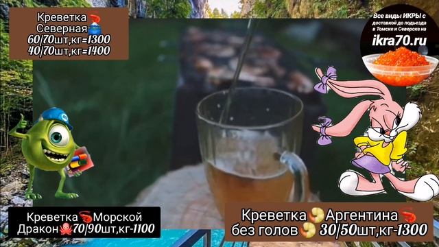 Креветка??в Томске?.Северске?! Погода?Креветка?Аргентина без голов! ikra70.ru ?! 89528871534 ?