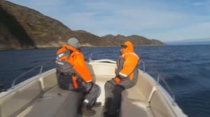 Морская рыбалка в Баренцевом море  Осень 2017  Нарезка