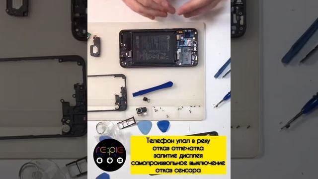 .Чистка после попадания влаги Huawei Honor 8X после купания в речке, не включается ремонт телефона смотреть онлайн