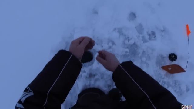 Как поймать судака на жерлицу смотреть онлайн