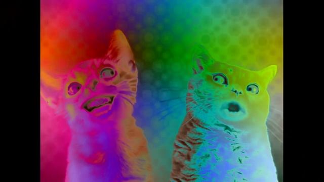 Preview 2 Numa Cat effects^2 [Sponsored by Preview 2 effects]