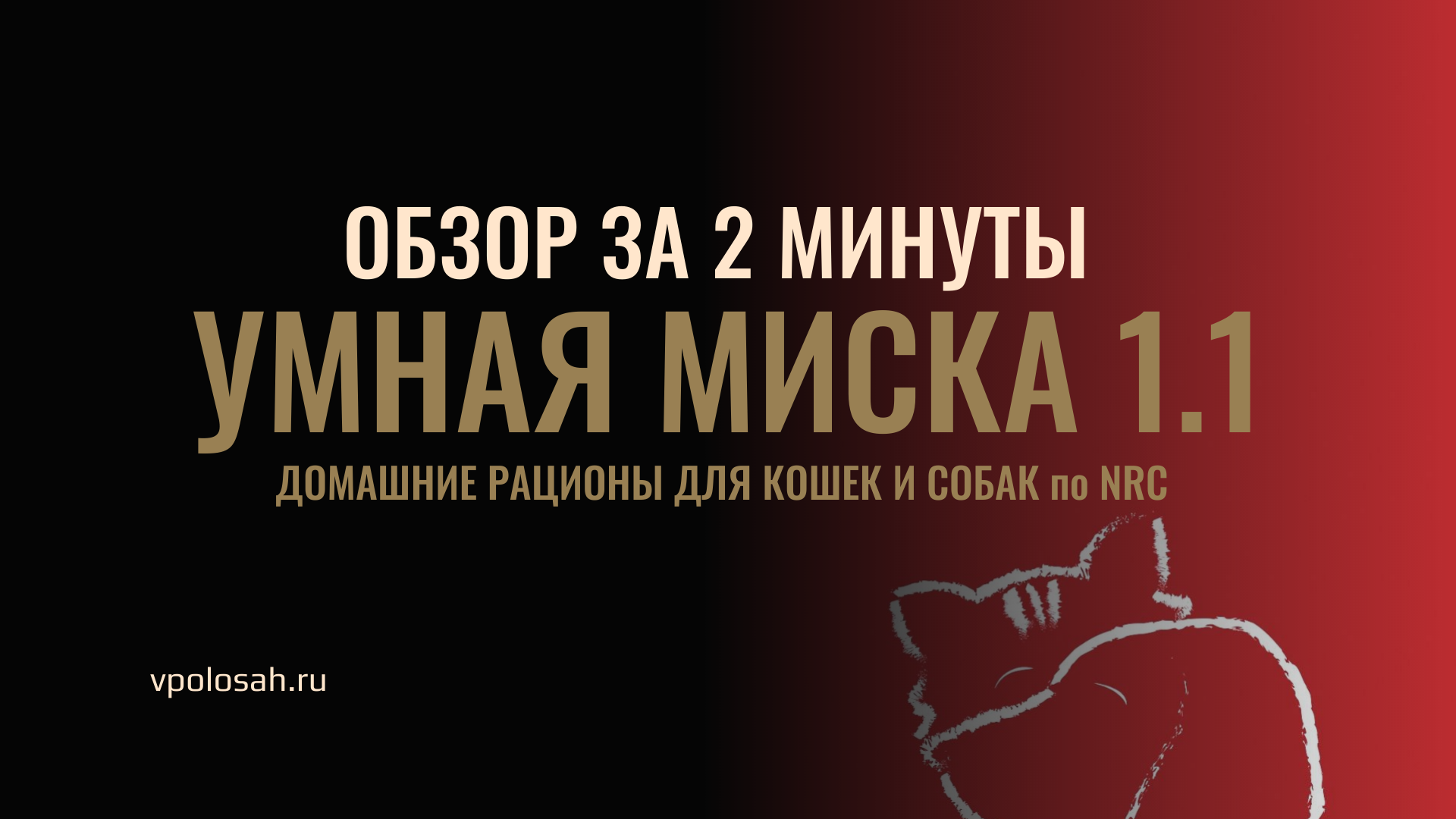 Обзор за 2 минуты