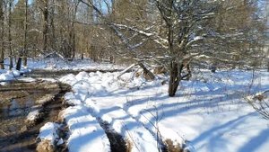 Trying out the new 27" itp blackwater evolutions on the grizzly in some mud and ice