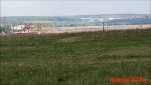 Уиппеты Мэвис (красная попона) - Паша (синяя). Забег №40. ЧР 2016.