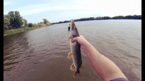 Ловля щуки на воблеры. Ловля щуки в траве. Ловля щуки у берега реки.