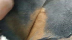 сделал кофе из топинамбура