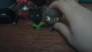 История чернушки (1 часть)