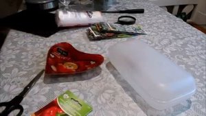 Нарциссы, которые отцвели в горшочках весной, я хочу посадить теперь в открытый грунт на даче.