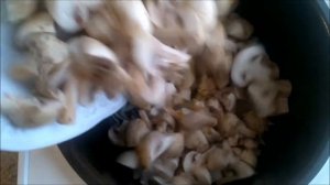 Грибной соус со сметаной в мультиварке