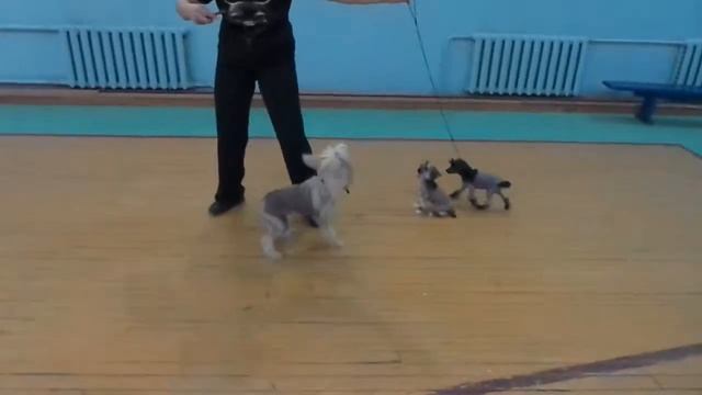 Козявки смотреть онлайн