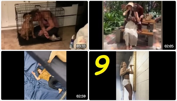 Сборник Смешные приколы #9 , 91-102 смотреть онлайн