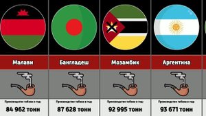 Страны по производству табака