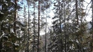 Зимние Ленские столбы в Якутии. Lena pillars in Yakutia.