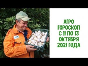 Агрогороскоп с 11 по 13 октября 2021 года ПЛЮС