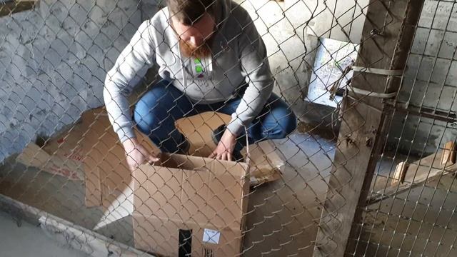 Покупка первых курей смотреть онлайн