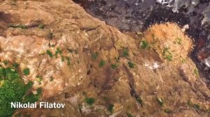 Стихи о Родине