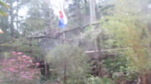 April wind storm blows through our Exotic garden  on the Gulf Islands