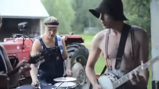 Steve'n'Seagulls