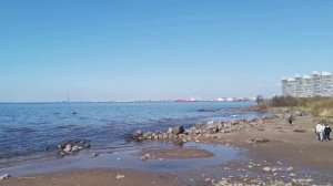 Красносельский район юго-западной части Санкт-Петербурга [2022]