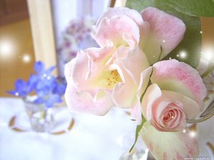 С Днём Рождения Красивое Поздравление! Лучшие слова и цветы для тебя Музыкальная Видео Открытка