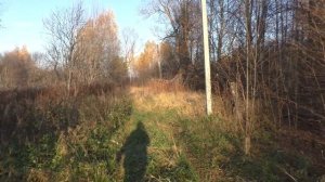 Продается крепкий дом в тихой деревне. Заброшенные дома. Деревни в глубинке России. Купить дом.