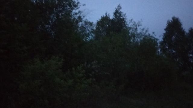 Соловьиная трель