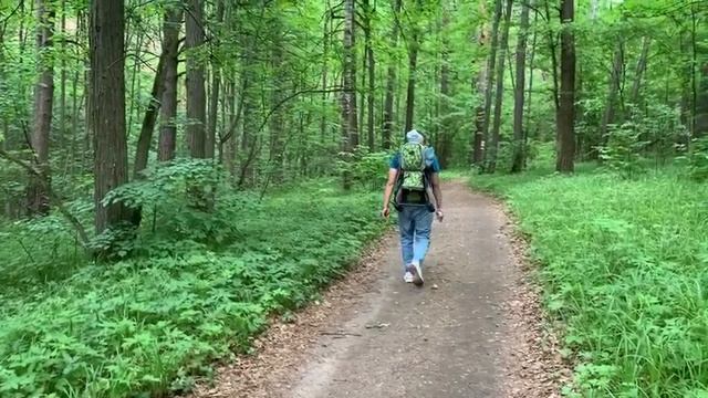 Ичалки. Нижегородская область. Карстовые пещеры
