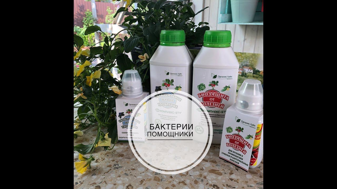 ВНИМАНИЕ - БАКТЕРИИ!!! Дачные сезоны Марины Рыкалиной