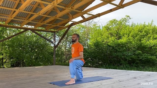 Хатха-йога для начинающих смотреть онлайн