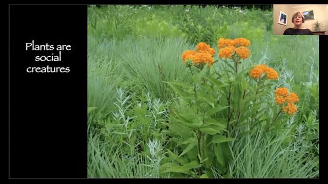 Encouraging Nature in Your Own Backyard: Ethical Choices for Sustainable Gardens смотреть онлайн