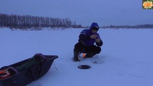 Рыбалка на реке Иртыш это круто