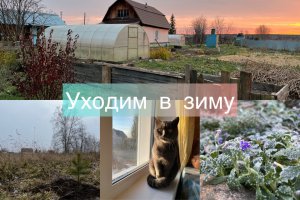 Уходим в зиму